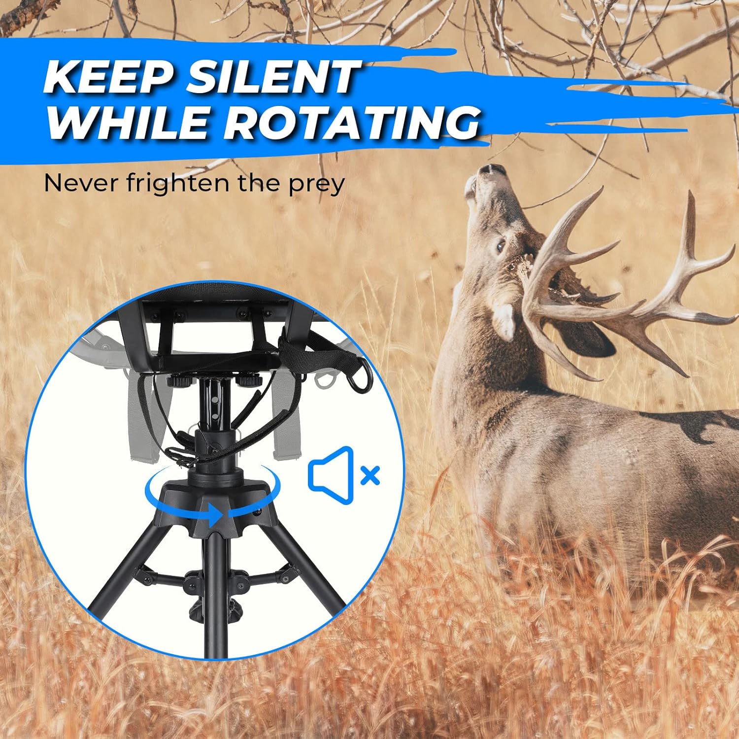 81EOZ3ydulL._AC_SL1500_.jpg